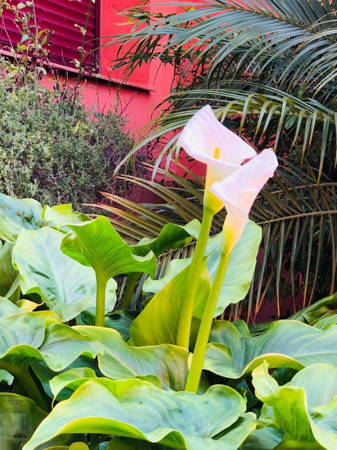 Apartament Two-room In Elviria Near The With Parking *