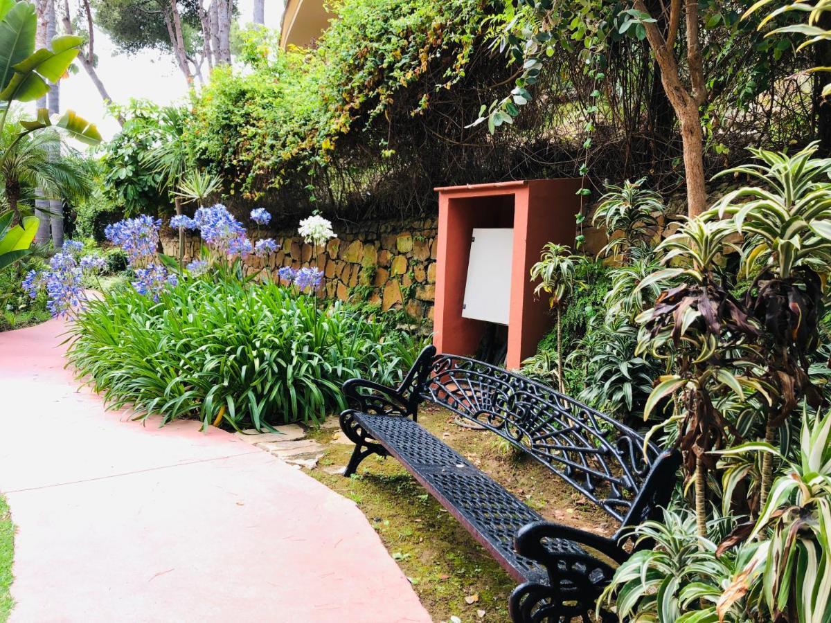 Two-room In Elviria Near The With Parking